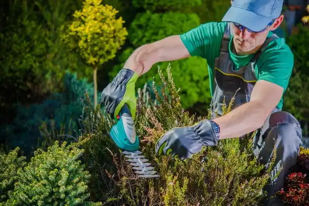 landscaping services Galien
